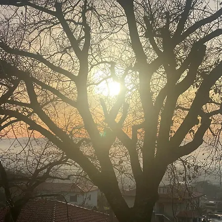 Buongiorno *